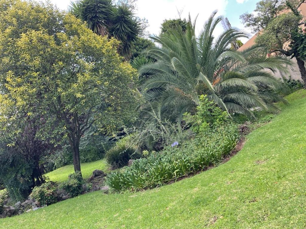 The South Way Bed and Breakfast Johannesburg Eksteriør billede
